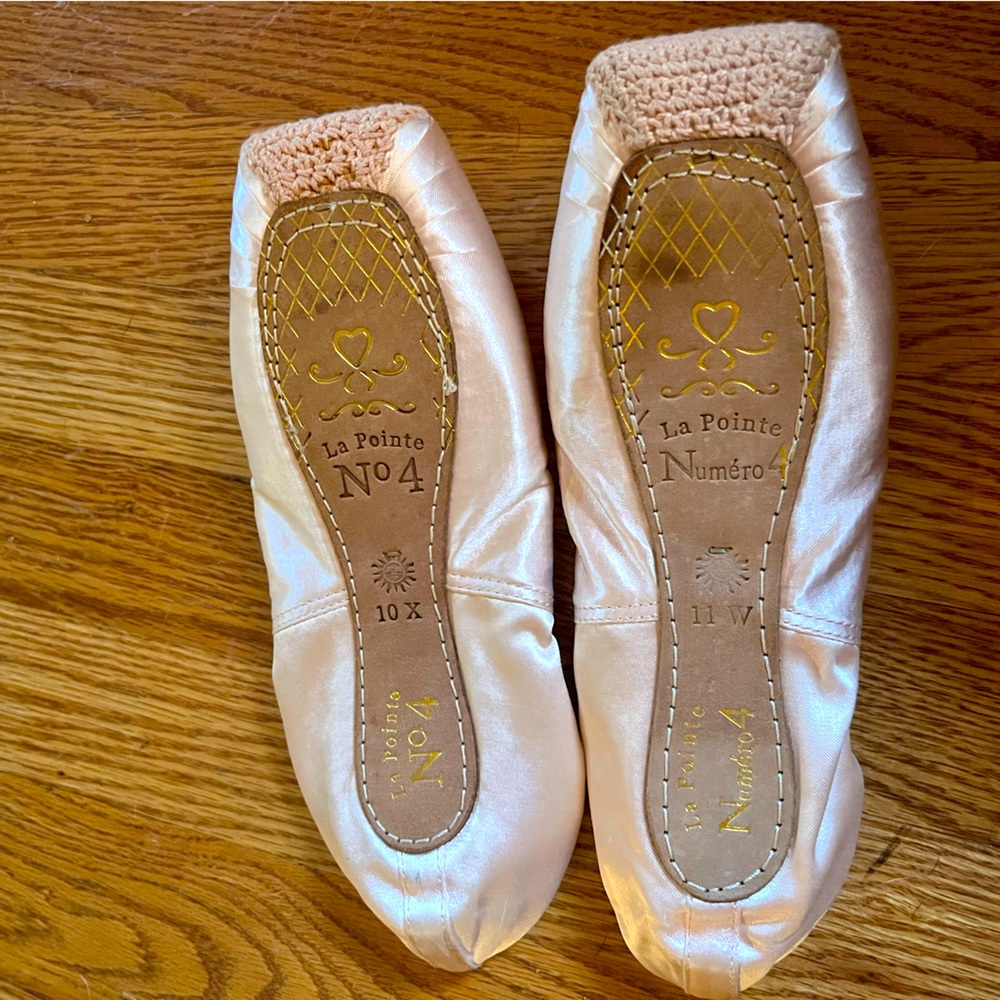 Sansa point shoes. Size 10x